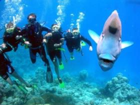 Gotham City Dive Site - Sydneys Hotel 0