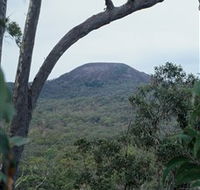 Mount Fox - Sydneys Hotel