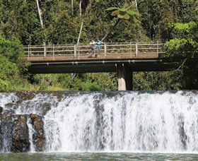 Malanda Falls Conservation Park - Sydneys Hotel 0