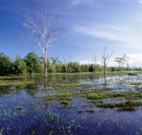 Tyto Wetlands - Sydneys Hotel