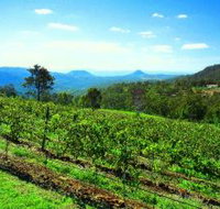 Preston Peak Wines