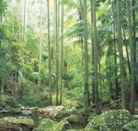 Python Rock - Sydneys Hotel