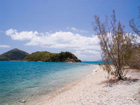 Paddle Bay Track And Campsite - Sydneys Hotel 0