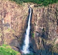 Buujan Quiinbiira Walk Wet Tropics Great Walk - Sydneys Hotel