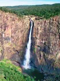 Gugigugi (Butterfly) Walk, Wet Tropics Great Walk - Sydneys Hotel 0