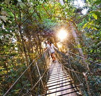Tree Top Walkway - Sydneys Hotel