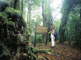 Tooloona Creek Circuit - Sydneys Hotel 0