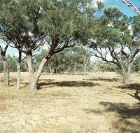 Forest Den National Park - Sydneys Hotel