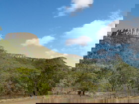 Lords Table Mountain - Sydneys Hotel 0