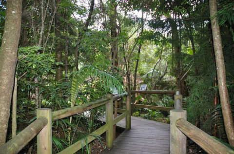 Cedar Creek Estate - Sydneys Hotel 1
