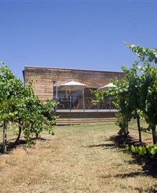 Shantell Vineyard - Sydneys Hotel 0