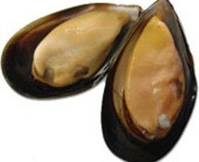 Sea Bounty - Sydneys Hotel 0