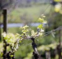 Lindemans Karadoc Winery - Sydneys Hotel