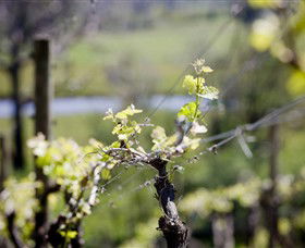 Lindemans Karadoc Winery - Sydneys Hotel 0