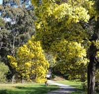 Wattle Park