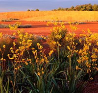 Royal Botanic Gardens Victoria Cranbourne