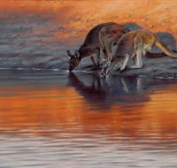 Steve Morvell Wildlife Art