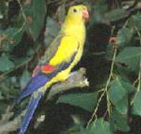 Lake Hindmarsh Reserve