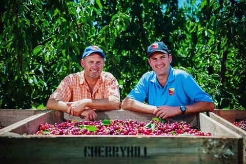 Cherryhill Orchards - Sydneys Hotel 5