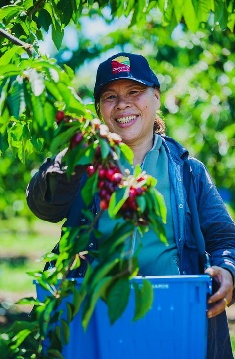 Cherryhill Orchards - Sydneys Hotel 11