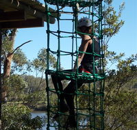Trees Adventure Shoalhaven - Sydneys Hotel