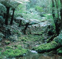 Deua National Park - Sydneys Hotel