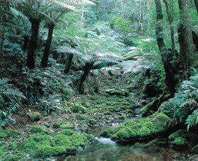 Deua National Park - Sydneys Hotel 0