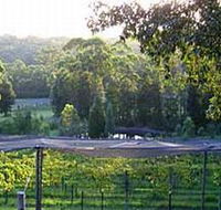 Lyrebird Ridge Organic Winery - Sydneys Hotel