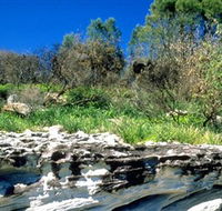 Abrahams Bosom Reserve - Sydneys Hotel