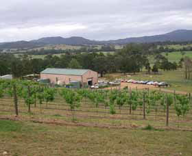 Villa D Esta Vineyard - Sydneys Hotel 0
