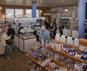 Pokolbin Estate Vineyard - Sydneys Hotel 2