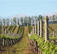 Philip Shaw Wines - Sydneys Hotel