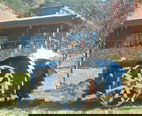 Lake George Winery - Sydneys Hotel 0