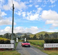 Sarabah Estate Vineyard - Sydneys Hotel