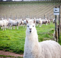 Gemtree Vineyards Cellar Door