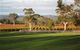 Top Note Vineyard - thumb 0