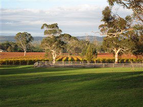 Top Note Vineyard - Sydneys Hotel 0