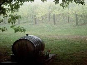 Arranmore Wines - Sydneys Hotel 2