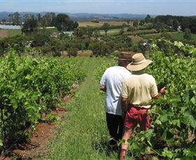 Sir Paz Estate - Sydneys Hotel 0