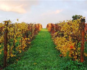 Sir Paz Estate - Sydneys Hotel 2