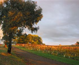 Sir Paz Estate - Sydneys Hotel 3