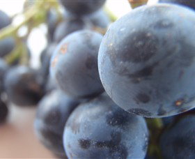 Cannibal Creek Vineyard - Sydneys Hotel 2