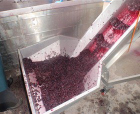 Cannibal Creek Vineyard - Sydneys Hotel 6