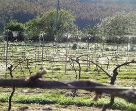 Red Hills TAS Sydneys Hotel