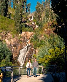 Steavenson Falls Marysville - Sydneys Hotel 1