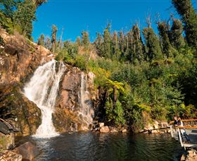 Steavenson Falls Marysville - Sydneys Hotel 0