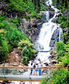 Steavenson Falls Marysville - Sydneys Hotel 2