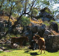 Coomba Falls - Sydneys Hotel