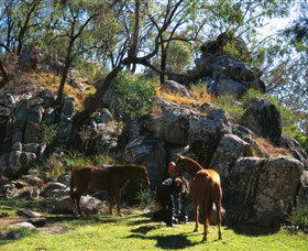 Coomba Falls - Sydneys Hotel 0