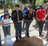 Fossil Rock - Sydneys Hotel